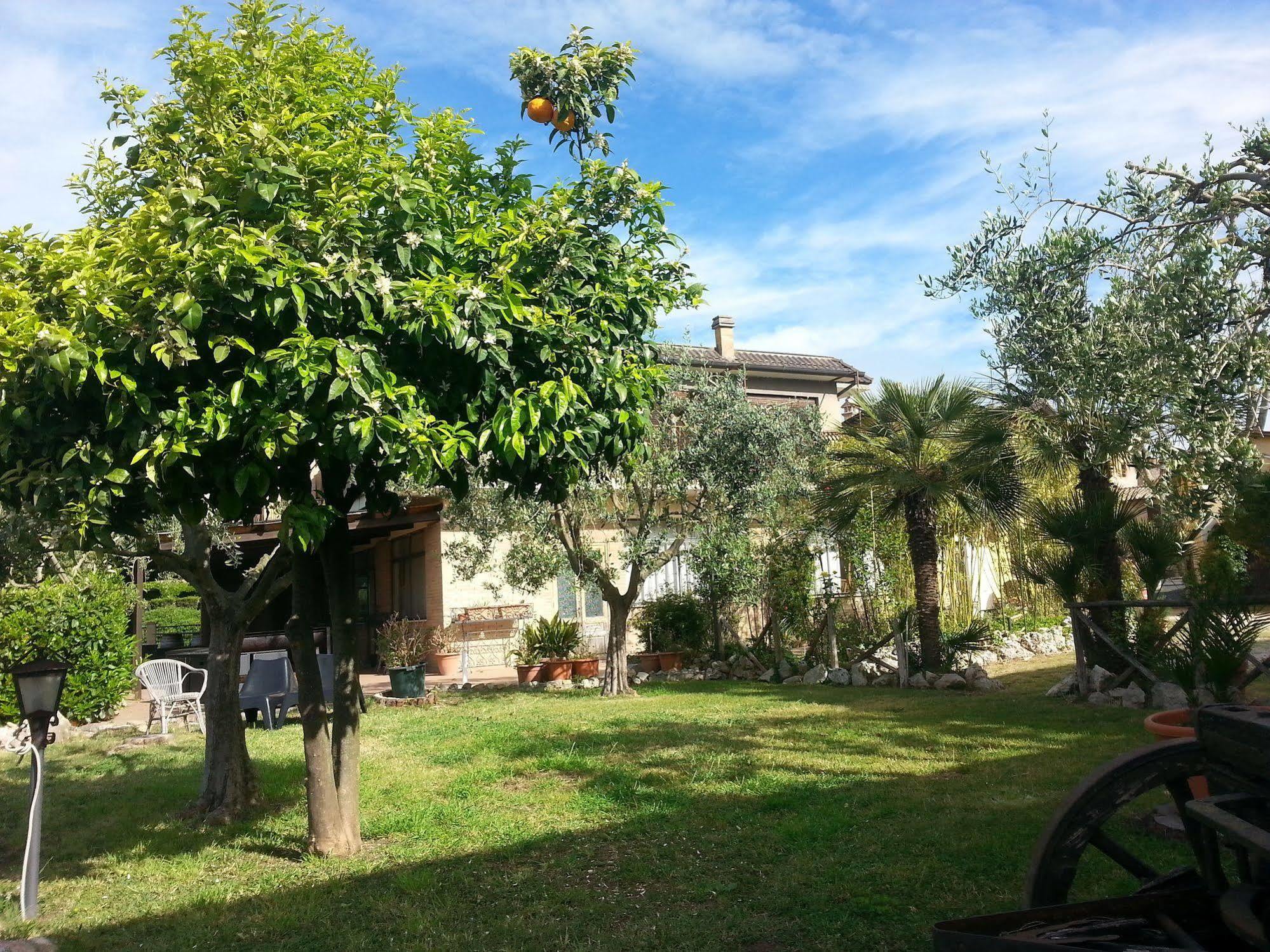 Hotel Tempio Di Apollo Roma